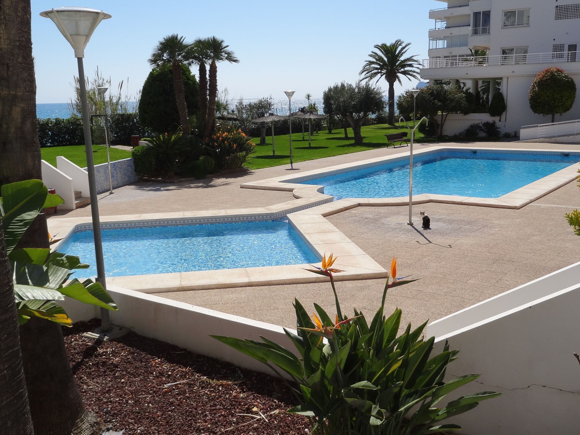 Cap Negret 18 Apartment Altea Bagian luar foto